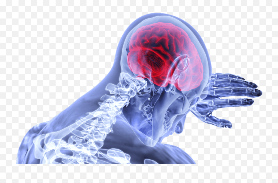 Novel Stroke Treatment Repairs Damaged Brain Tissue - Weak Immune System Png Emoji,Brain Emoji Png