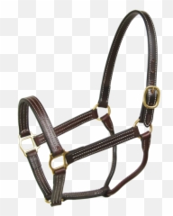 Httpswwwthetackshoppecom Daily Httpswww - Havana Walsh Halter Emoji,Brrr Emoji