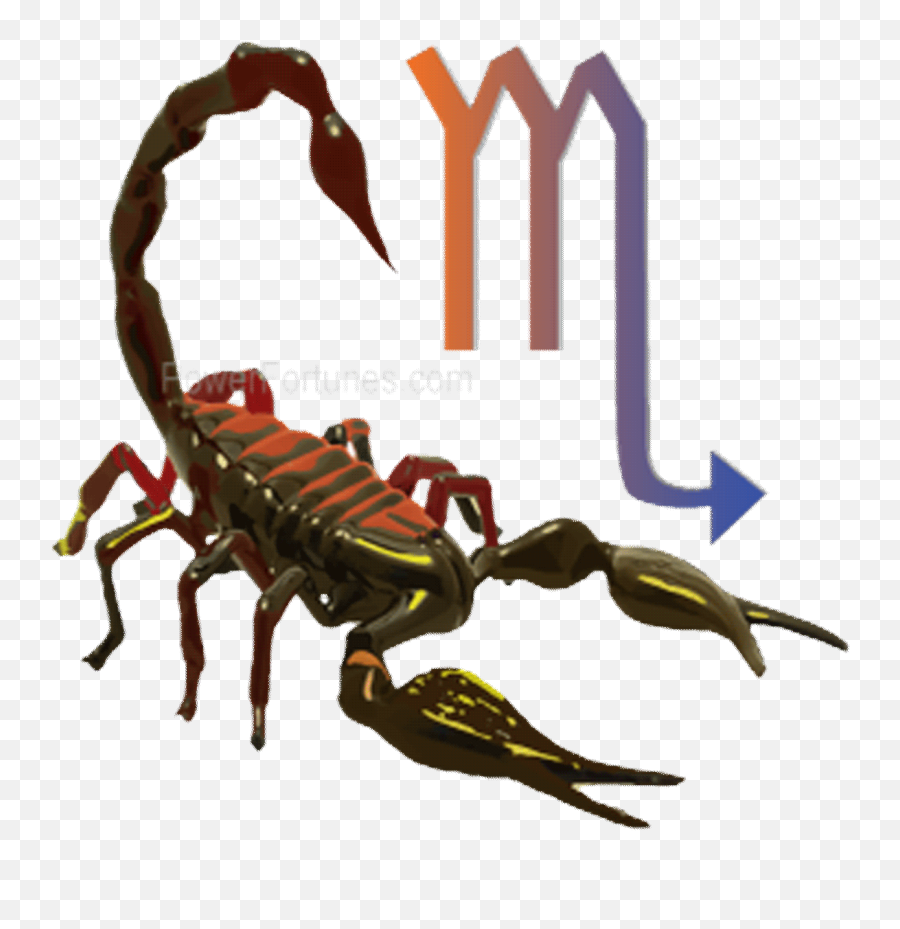 Todays Daily Horoscopes For Scorpio - Scorpion Emoji,Scorpio Zodiac Emoji