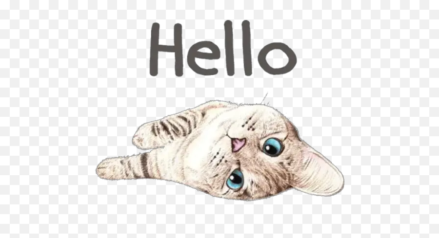 Hug Me Stickers For Whatsapp - Tabby Cat Emoji,Cuddle Emoji Android