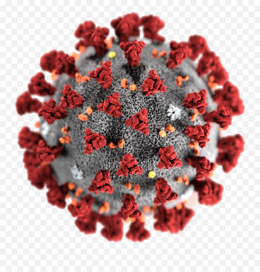 Coronavirus Germs Png File - Sars Cov 2 Emoji,Germ Emoji