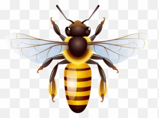 Bee Honeycomb Transprent Png - Transparent Background Clip Art Emoji