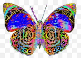 529 Best Butterfly Animated Gifs Images - Butterflies Emoji