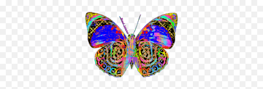 529 Best Butterfly Animated Gifs Images - Butterflies Animated Gif Emoji,Butterfly Emoji Iphone