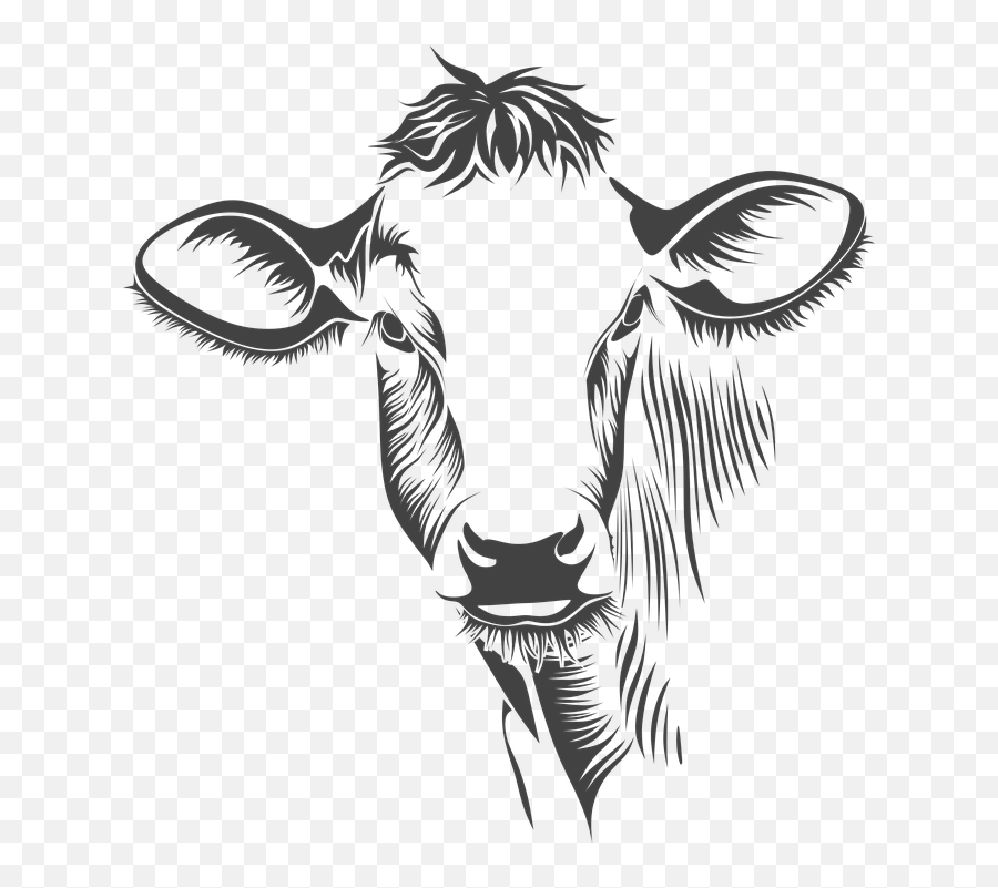 1 Free Farm Cow Illustrations - Cow Face Line Art Emoji,Piglet Emoticon