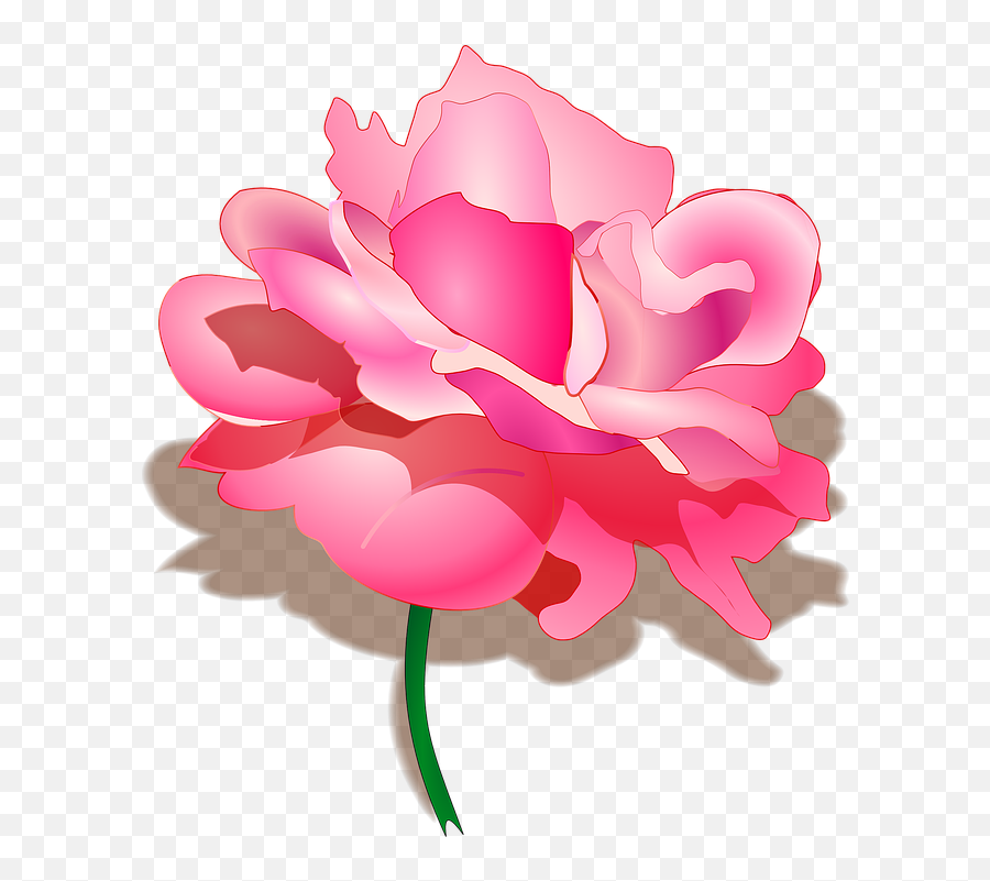 Free Pink Flower Flower Vectors - Rakhi Special Image In Hindi Emoji,Unicorn Emoji