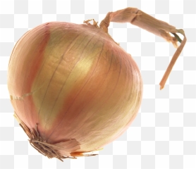 Face Clipart Onion Face Onion Transparent Free For Download - Transparent Onion Emoji,Onion Emoji