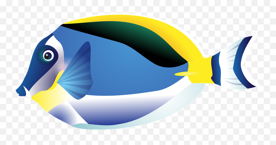 Free Tropical Fish Vectors - Tropical Fish Graphic Emoji,Raspberry Emoticon