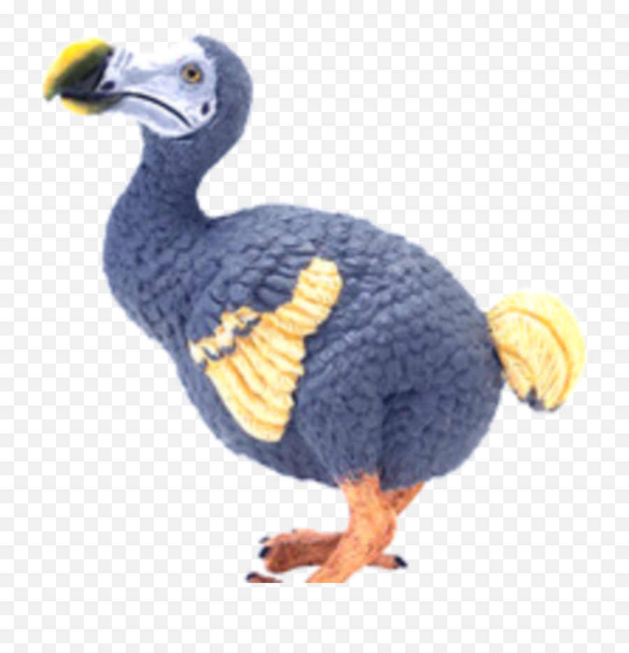 Freetoedit Picsart Dodo Dodobird Birb - Dodo Bird Png Emoji,Birb Emoji