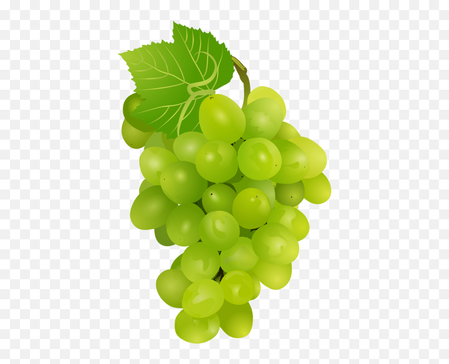 Library Of Graapes Png Black And White Library Png Files - Seedless Fruit Emoji,Grape Emoji