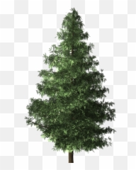 Free Eco Environment Illustrations - Christmas Tree Emoji,Money Bag Emoji