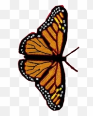 Vsco Butterfly Clipart - Iphone 11 Case Emoji