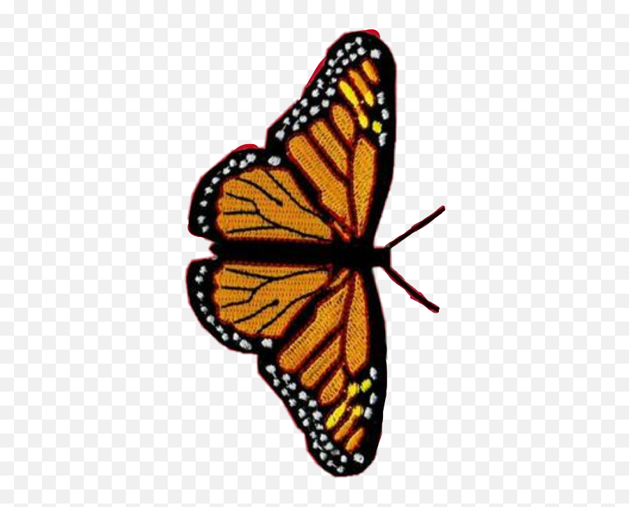 Vsco Butterfly Clipart - Butterfly Iphone 11 Case Emoji,Butterfly Emoji Iphone