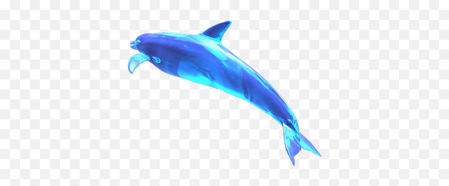 Cool Animated Dolphins Clip Art Images At Best Animations - Transparent Jumping Dolphin Gif Emoji,Dolphin Emoji