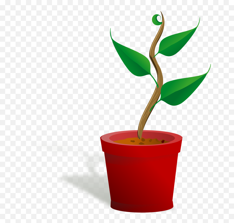 Plant Potted Plant Transparent - Plant In A Pot Clipart Emoji,Potted Plant Emoji