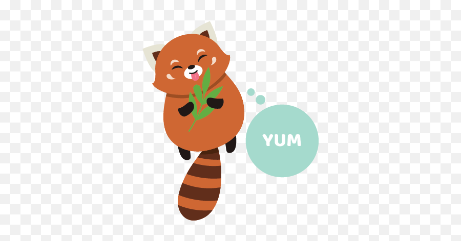 Red Panda Sticker Pack - Cartoon Emoji,Red Panda Emoji