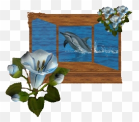 Colorwerx Miami Dolphins Nfl 2013 Srgb - Optimized Graphics Picture Frame Emoji,Miami Dolphins Emoji