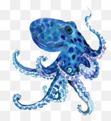 Octopus Animal Oceanlife Krake Kraken - Octopus Shower Curtain Emoji,Kraken Emoji