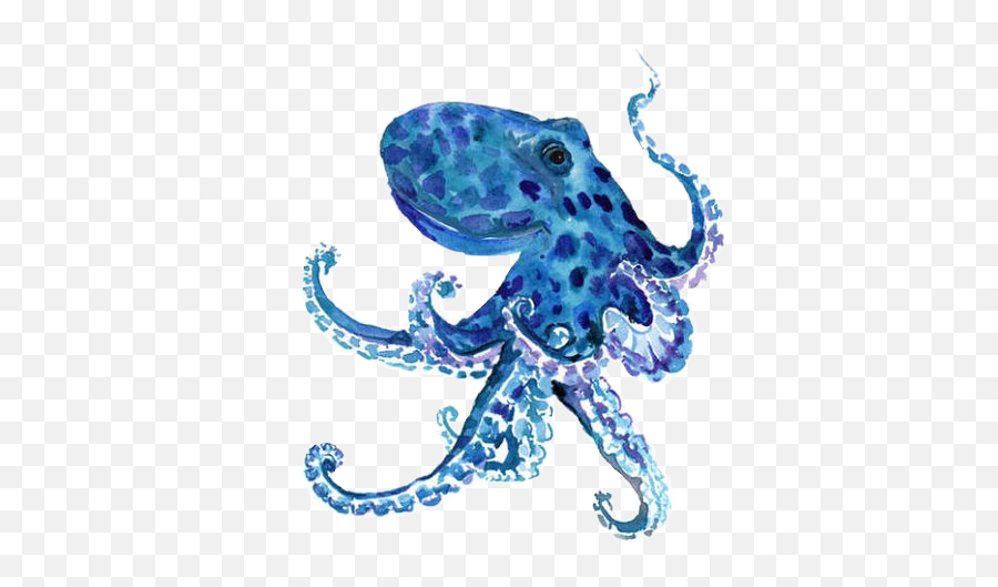 Octopus Animal Oceanlife Krake Kraken - Octopus Shower Curtain Emoji,Kraken Emoji