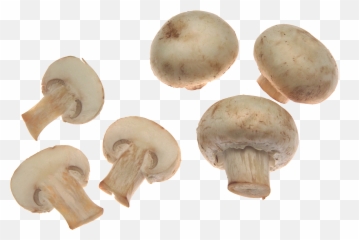 Button Mushroom Png Clipart - Emoji