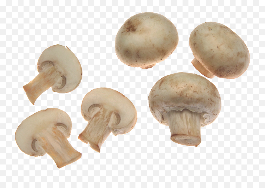 Button Mushroom Png Clipart - Mushroom Png Emoji,Emoji Mushroom