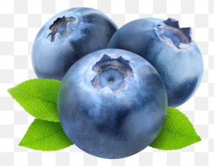 Blueberries - Transparent Background Blueberry Clipart Emoji,Blueberry Emoji
