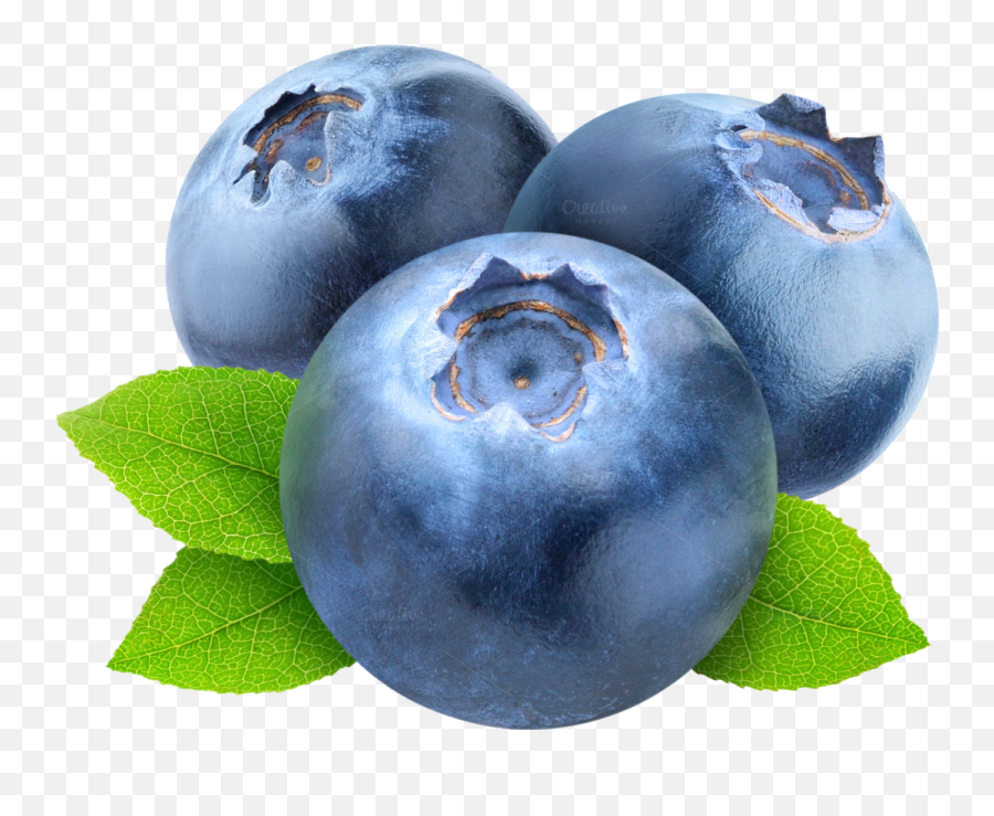 Blueberries - Transparent Background Blueberry Clipart Emoji,Blueberry Emoji
