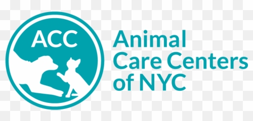 Acc - Ofnyc11 Biscuits U0026 Bath Animal Care Center Of Nyc Emoji,Nyc Emoji
