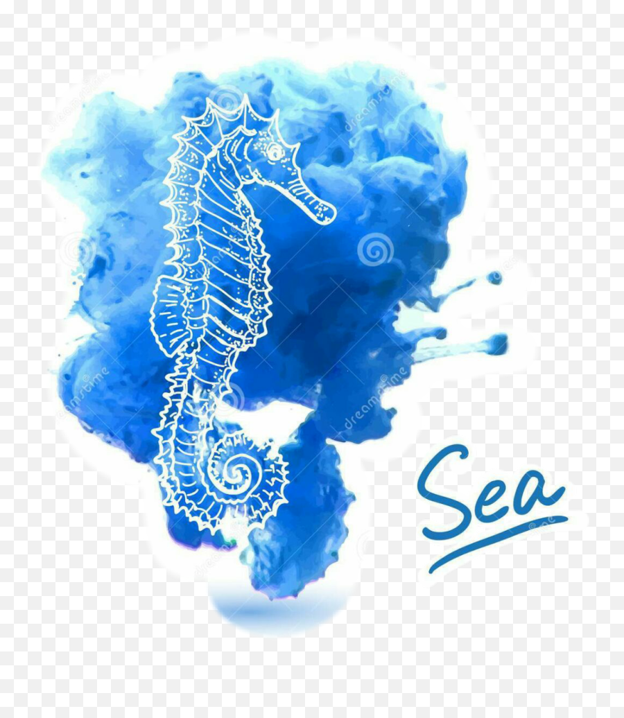 Seahorse Seahorses - Watercolor Seahorse Vector Emoji,Seahorse Emoji
