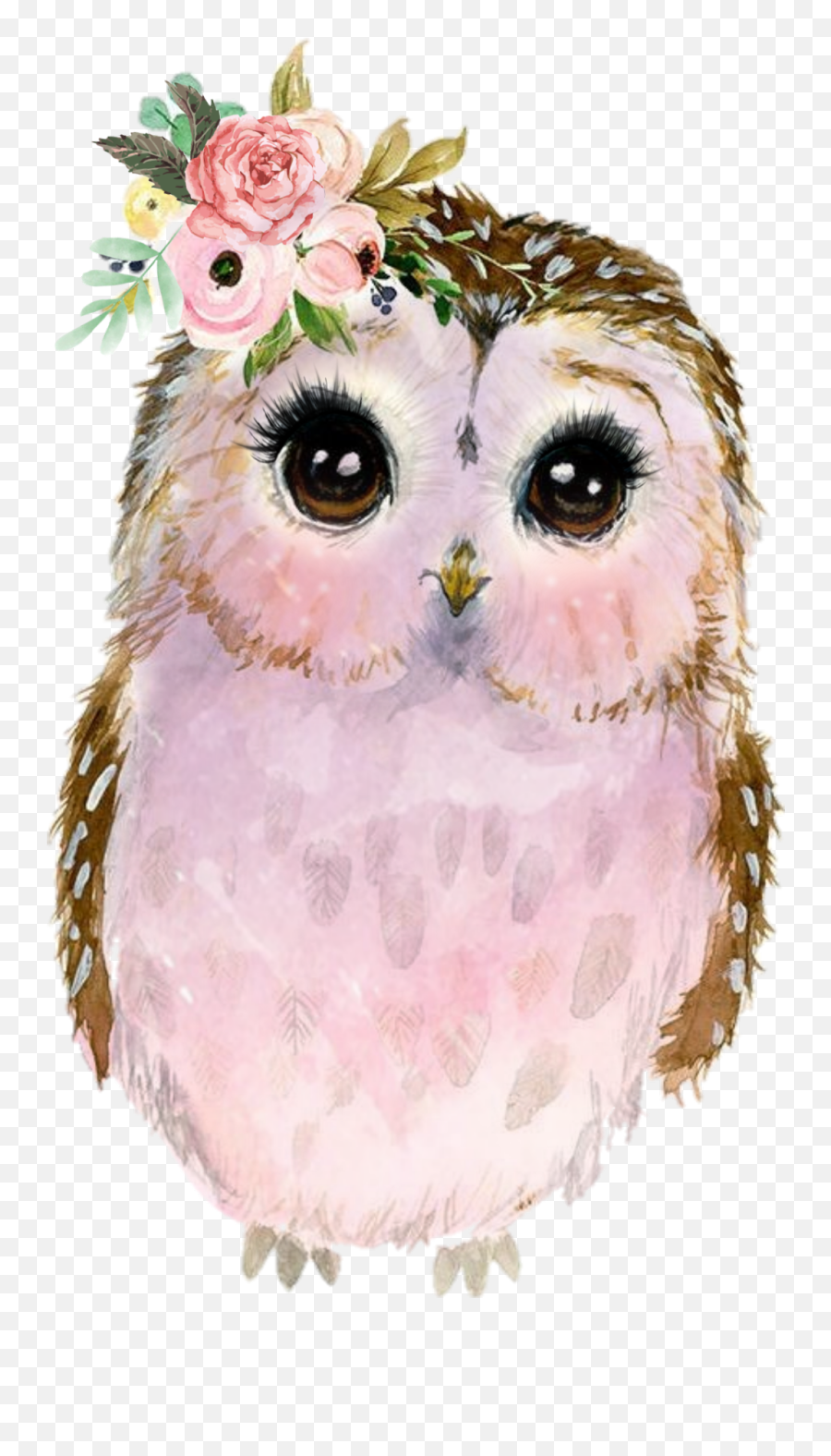 Scowl Owl Lechuza Buho Emoji,Scowl Emoji
