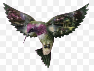 Top T Birds Stickers For Android Ios - Gif Image Birds Emoji,Birb Emoji