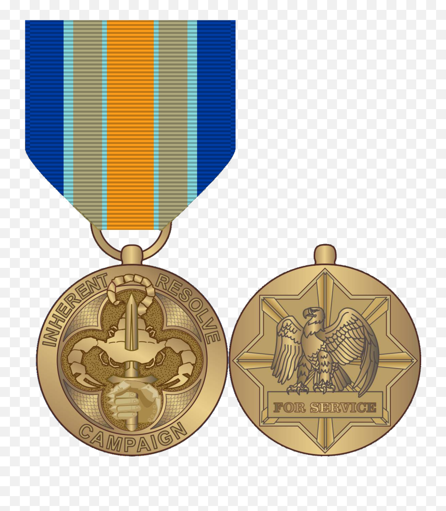 Medal Drawing Bronze Transparent Png - War On Coronavirus Service Medal Emoji,Gold Medal Emoji