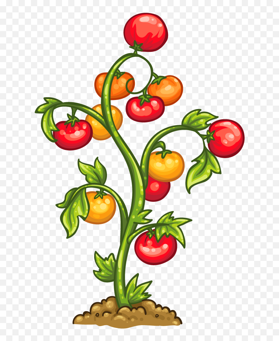 Tomato Plant Clipart Png - Tomato Plant Png Emoji,Find The Emoji Tomato