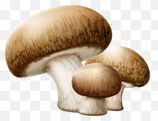 Mushroom Clipart Collection - Png Emoji
