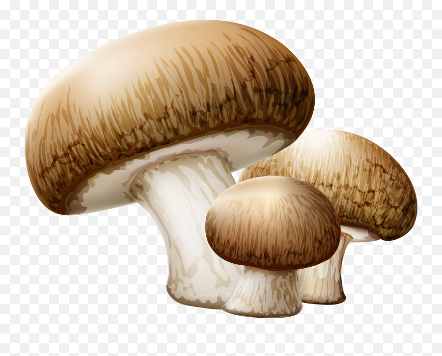 Mushroom Clipart Collection - Mushroom Png Emoji,Emoji Mushroom