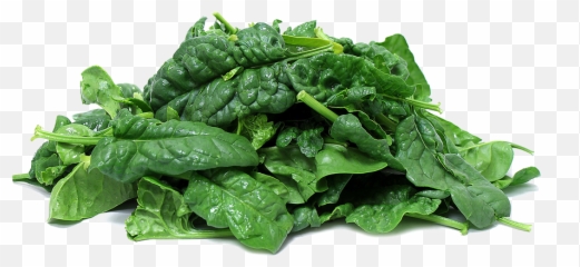 Spinach clipart mart png - Clipartix Png Emoji
