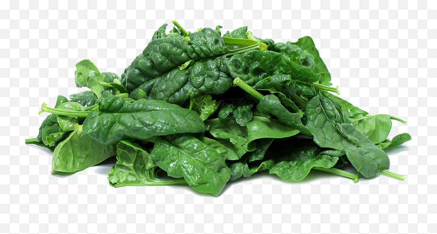 Spinach Clipart Mart Png - Clipartix Spinach Png Emoji,Kale Emoji