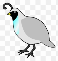 Quail Shooting Png Svg Clip Art For - Clipart Emoji