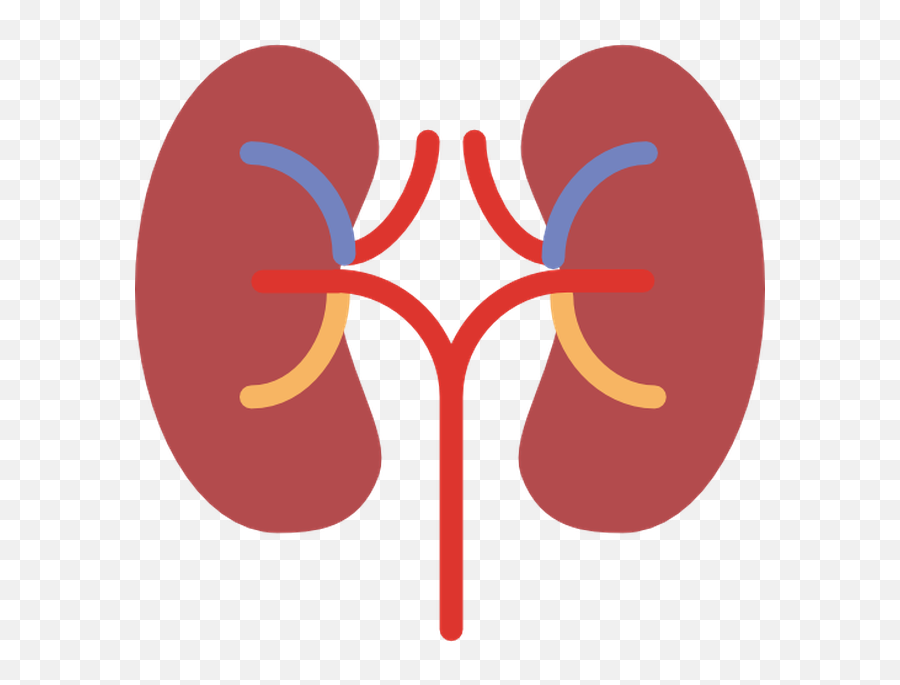 Download Free Png Kidney Free Vector Icons Designed By - Kidney Icon Png Emoji,Kidney Emoji