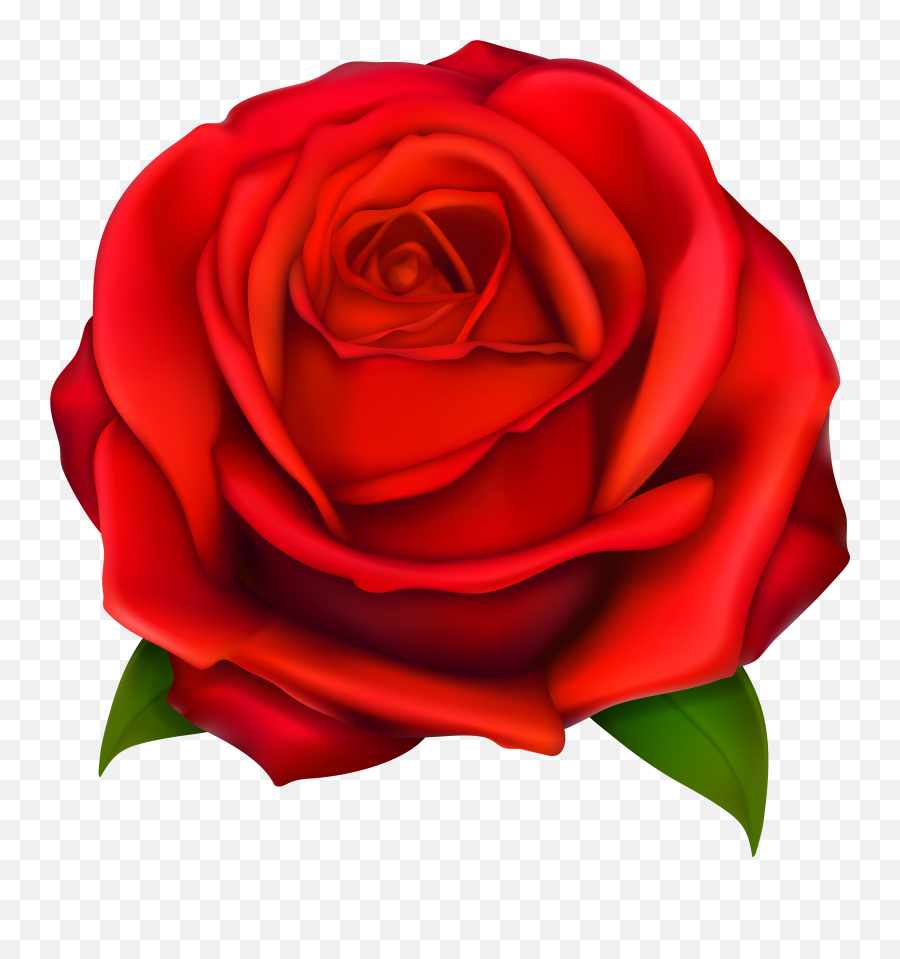 Roses Emoji Transparent Png Clipart Free Download - Transparent Background Rose Clipart Png,Rose Emoticons