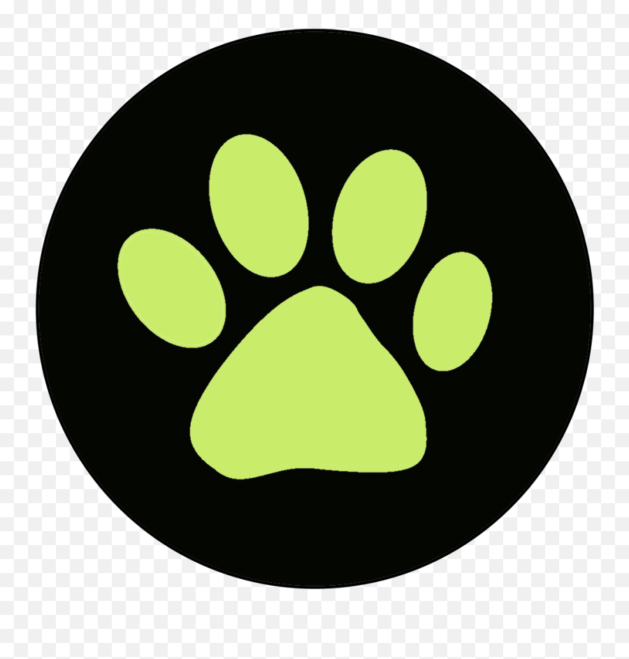 Transparent Ladybug Yoyo - Cat Noir Logo Png Transparent Logo Cat Noir Png Emoji,Nyan Cat Emoticon Google Chat