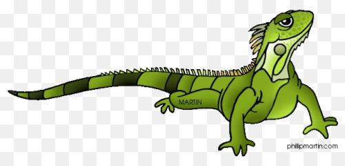 Green Iguana Cartoon Clipart - Iguana Clipart Emoji,Iguana Emoji
