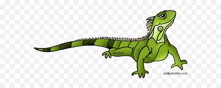 Green Iguana Cartoon Clipart - Iguana Clipart Emoji,Iguana Emoji