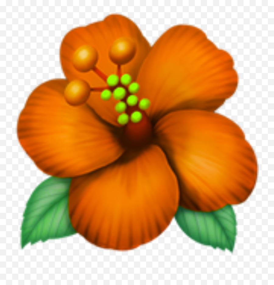 Flower Emoji Png Transparent,Orange Flower Emoji