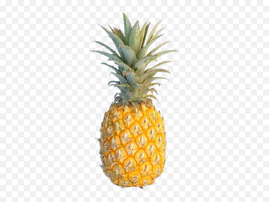 Pineapple Cuisine Of Hawaii Fruit Flavor Food - Golden Fruits And Vegetables Single Emoji,Pineapple Emoji