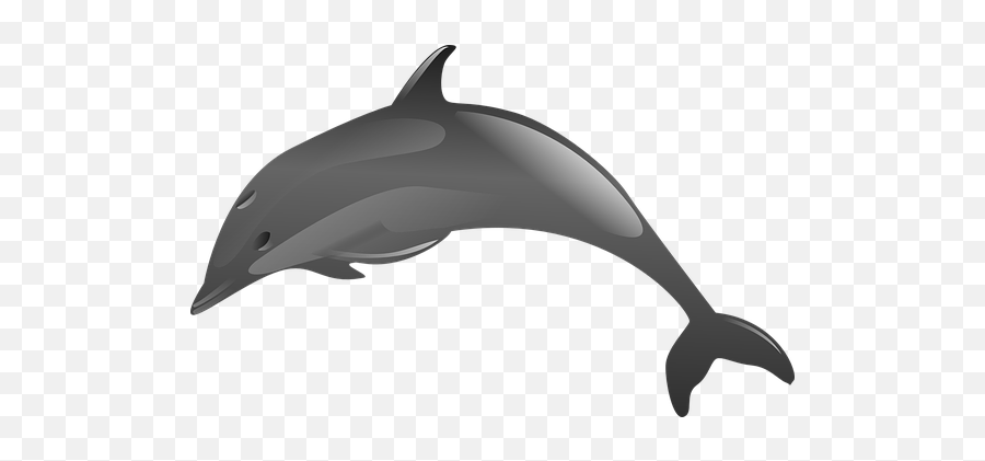 Free Dolphin Mammal Vectors - Lumba Lumba Png Emoji,Dolphin Emoji