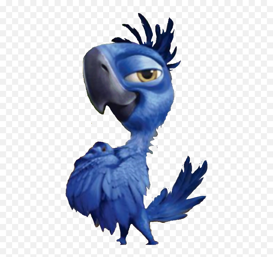 500 Birds Gifs Ideas Birds Bird Bird Gif - Rio Characters Emoji,Oriole Emoji