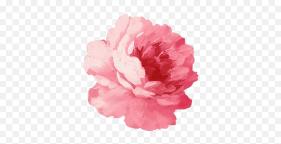 Download Watercolor Flowers Tumblr Png Png U0026 Gif Base - Pink Painted Flowers Emoji,Flower Emoji Tumblr