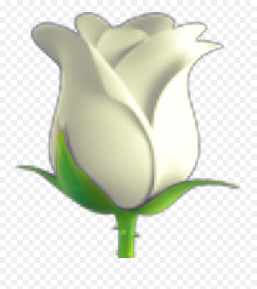 Need To Redo This - White Rose Emoji Png,White Emoji