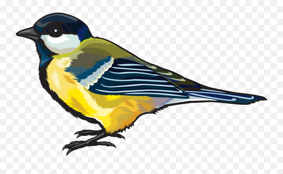 Goldfinch Bird Clipart - Bird Png Clipart Emoji,Finch Emoji